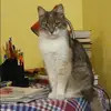 Отзыв от Надежда Касьянова